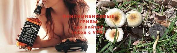 синтетический гашиш Алексеевка